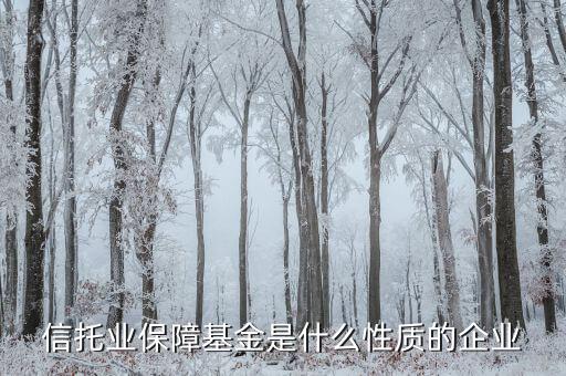 信托業(yè)保障基金是什么性質(zhì)的企業(yè)