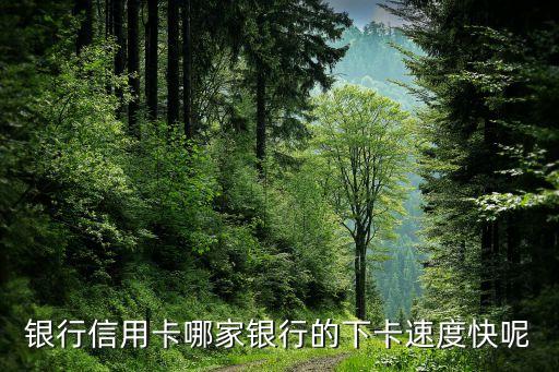 什么銀行信用卡秒下，辦哪個(gè)銀行的信用卡下卡最快