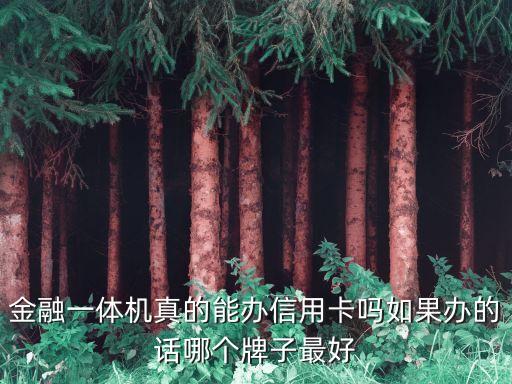 什么機器可以辦信用卡，金融一體機真的能辦信用卡嗎如果辦的話哪個牌子最好