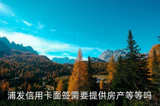 浦發(fā)信用卡面簽需要什么問(wèn)題，上海銀行信用卡面簽字都要什么啊