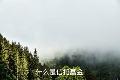 什么是信托基金