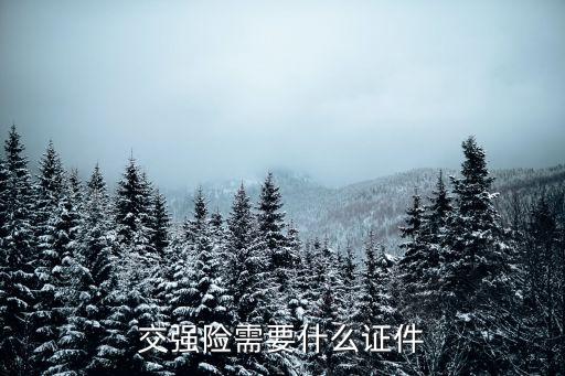 交車險需要什么東西，交車險需要帶什么東西