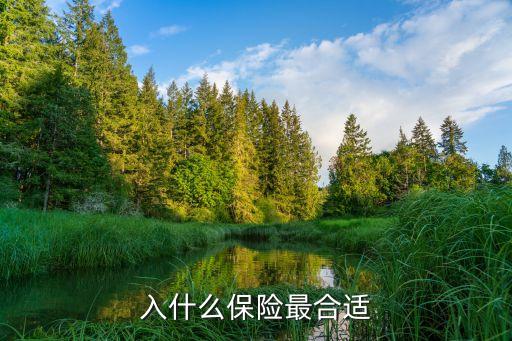 買什么保險合適，入什么保險最合適