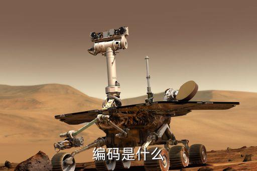 編碼是什么