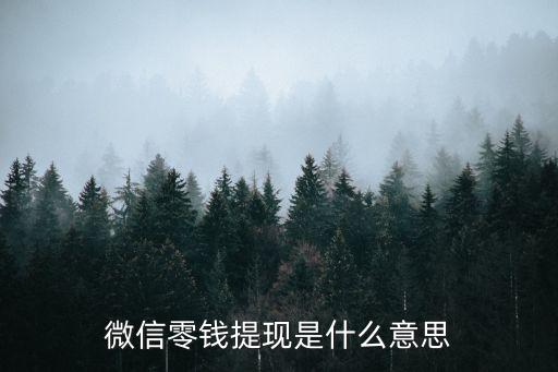 微信零錢提現(xiàn)什么意，微信錢包里的提現(xiàn)是什么意思