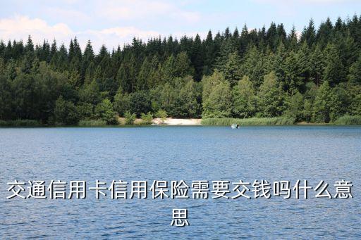 交通信用是什么意思是什么意思，信用交通是什么意思