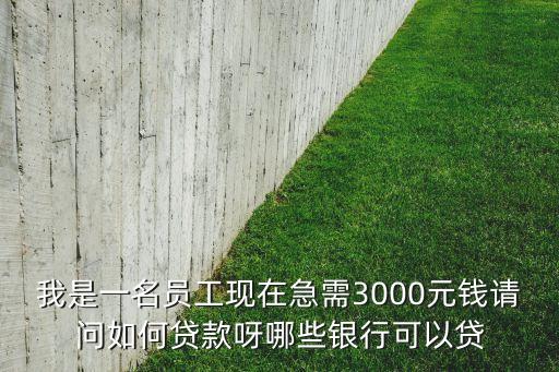 我是一名員工現(xiàn)在急需3000元錢請(qǐng)問如何貸款呀哪些銀行可以貸