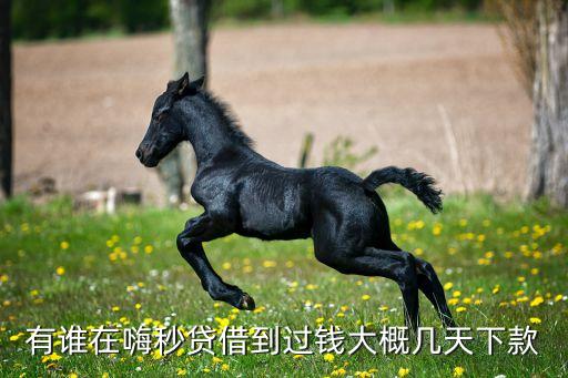 有誰(shuí)在嗨秒貸借到過錢大概幾天下款