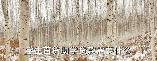 大學生首貸款需要什么手續(xù)費嗎，學生首貸助學貸款需要什么