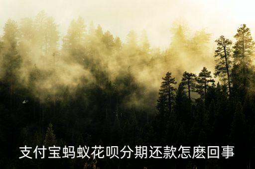 為什么分期了花唄分期還款，花唄分期還款的意思是什么