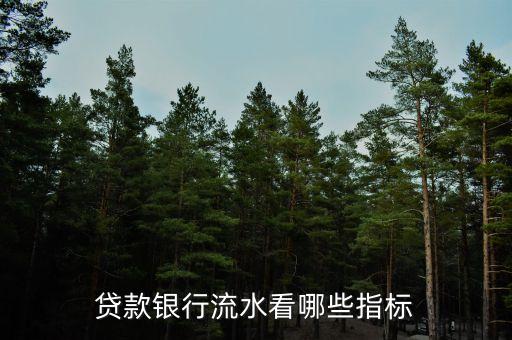 商貸銀行流水看什么資料，貸款銀行流水看哪些指標(biāo)