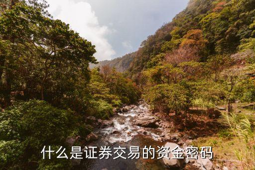 什么是證券資金密碼，交易軟件中的資金密碼是指什么