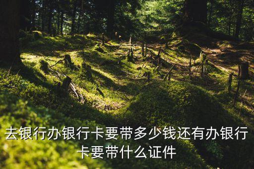 2017開(kāi)儲(chǔ)蓄卡需要什么，2017年各個(gè)銀行怎么辦理新卡