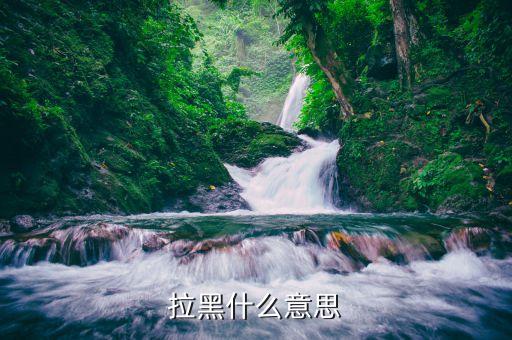 行黑什么意思，拉黑什么意思
