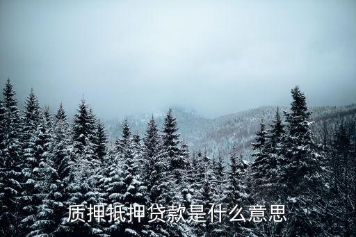 質(zhì)押抵押貸款是什么意思