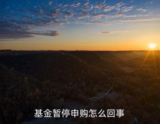 基金為什么停止申購(gòu)，基金暫停申購(gòu)怎么回事