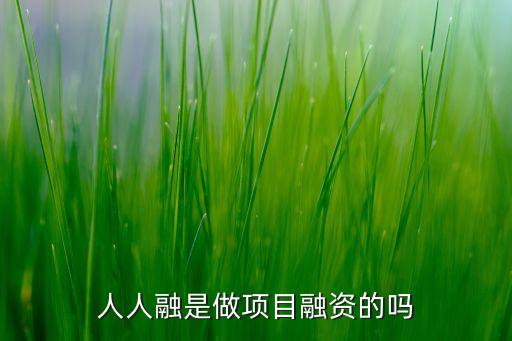 人人融是什么意思是什么，人人融是做項(xiàng)目融資的嗎