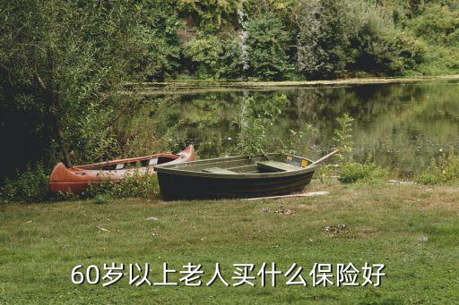60歲的可以買什么保險，60歲買什么保險合適