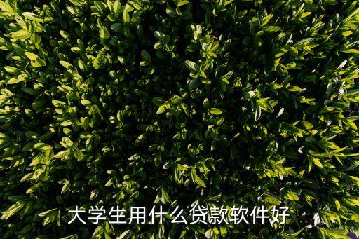 什么大學生貸款平臺好，大學生用什么貸款軟件好