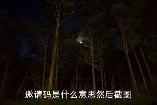邀請碼是什么意思然后截圖