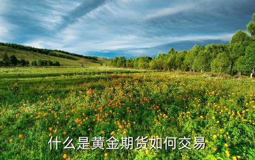 什么是黃金期貨如何交易