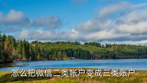 什么是三類賬戶微信，微信零錢三類賬戶怎么開通