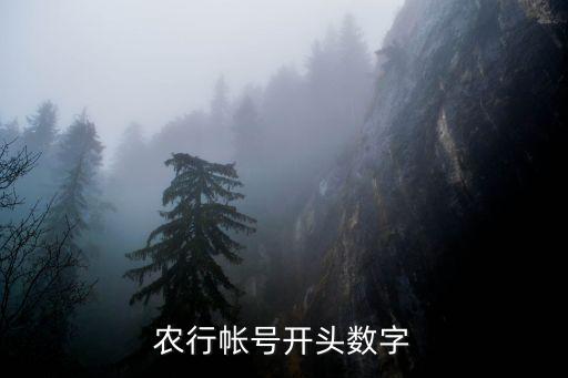 農(nóng)行帳號開頭數(shù)字