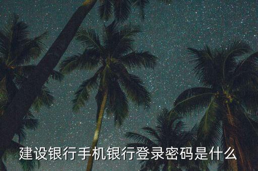 建行手機(jī)銀行初始登錄密碼是什么意思，建設(shè)銀行手機(jī)銀行登陸密碼是什么