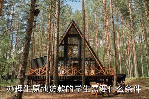 辦理生原地貸款的學(xué)生需要什么條件