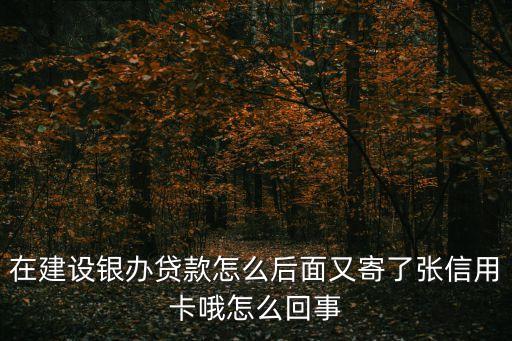 在建設(shè)銀辦貸款怎么后面又寄了張信用卡哦怎么回事