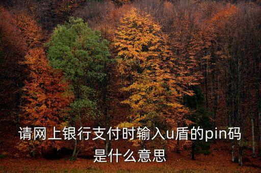 請網(wǎng)上銀行支付時輸入u盾的pin碼是什么意思