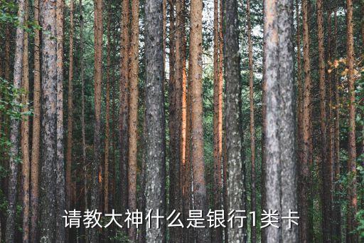 請教大神什么是銀行1類卡