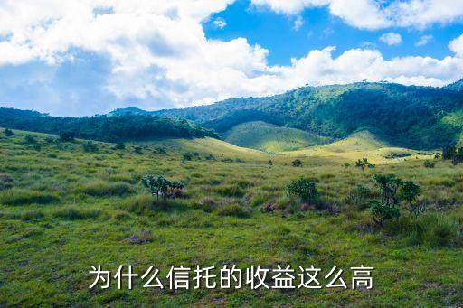 為什么信托的收益這么高