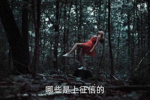 哪些是上征信的