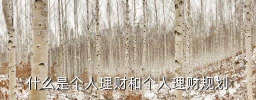 什么是理財(cái)，請(qǐng)問(wèn)農(nóng)業(yè)銀行的什么是理財(cái)每年交50005年交25000是什么理財(cái)  搜