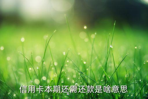 信用卡本期還需還款是啥意思