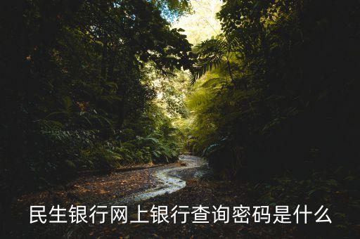 民生銀行網(wǎng)上銀行查詢密碼是什么