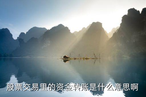 股票資金內(nèi)轉(zhuǎn)是什么意思，信達證券 資金內(nèi)部劃轉(zhuǎn)是什么意思
