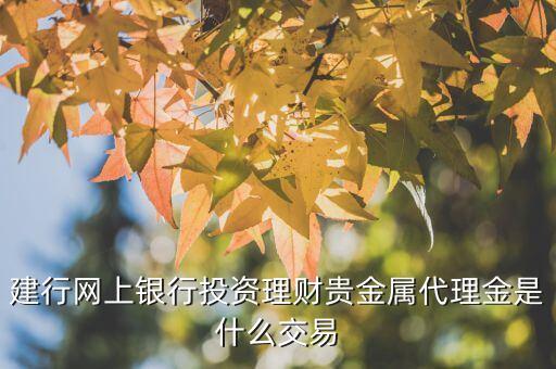 建行網(wǎng)上銀行投資理財(cái)貴金屬代理金是什么交易