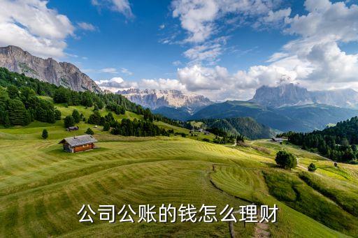 公司公賬的錢怎么理財(cái)