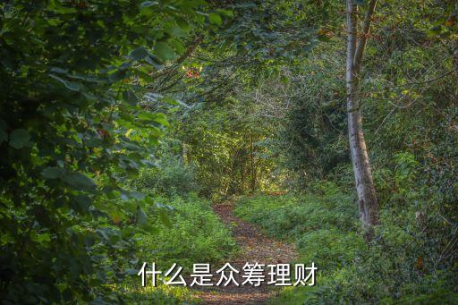 眾籌金融是什么意思，眾籌是什么意思