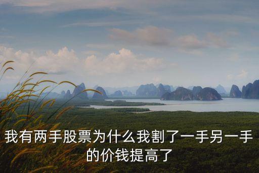 為什么股票割肉成本漲，我有兩手股票為什么我割了一手另一手的價(jià)錢(qián)提高了