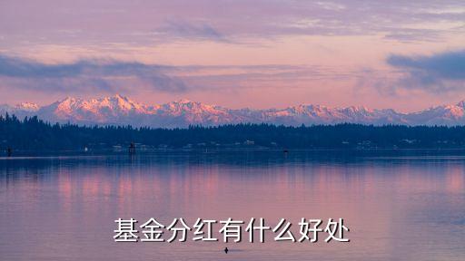 為什么混合基金分紅，基金分紅是什么鬼