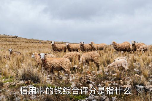 信用卡的錢綜合評分是指什么