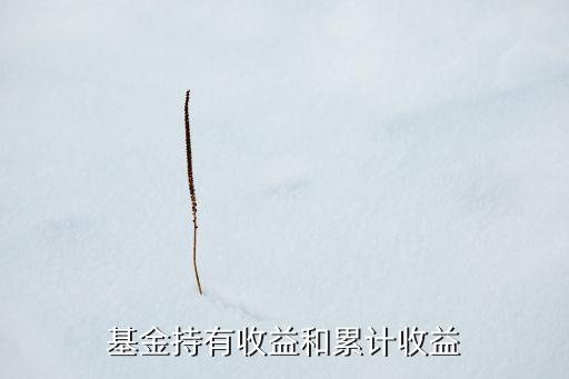 基金持有收益和累計收益