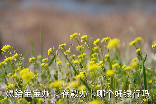 想給寶寶辦卡 存款辦卡哪個好銀行嗎