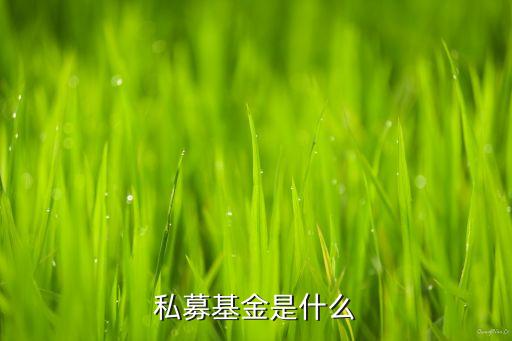 私募基金是什么