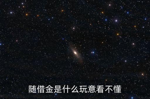隨借金是什么玩意看不懂
