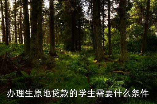 校園地貸款條件是什么，校園地國家助學(xué)貸款