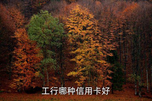 工行金卡什么卡好，工行信用卡哪種最劃算